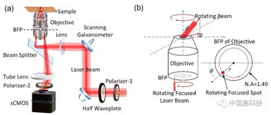 中科院合作團隊在表面波光學顯微鏡研究中取得重大進展
